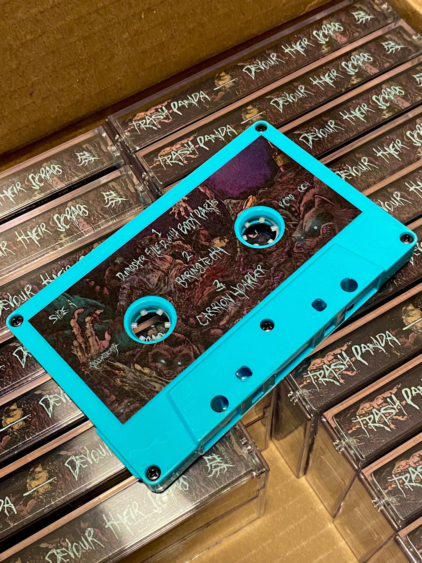 Trash Panda - Devour Their Scraps (Tape)