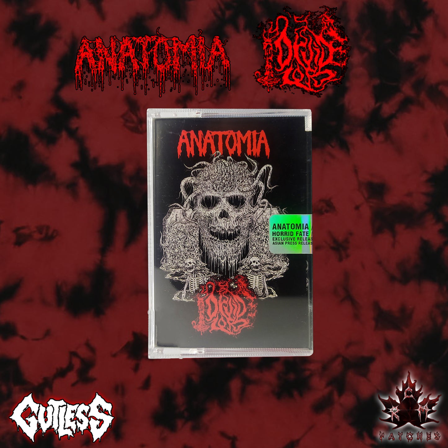 Anatomia/Druid Lord Split - (Gutless Asia Import)